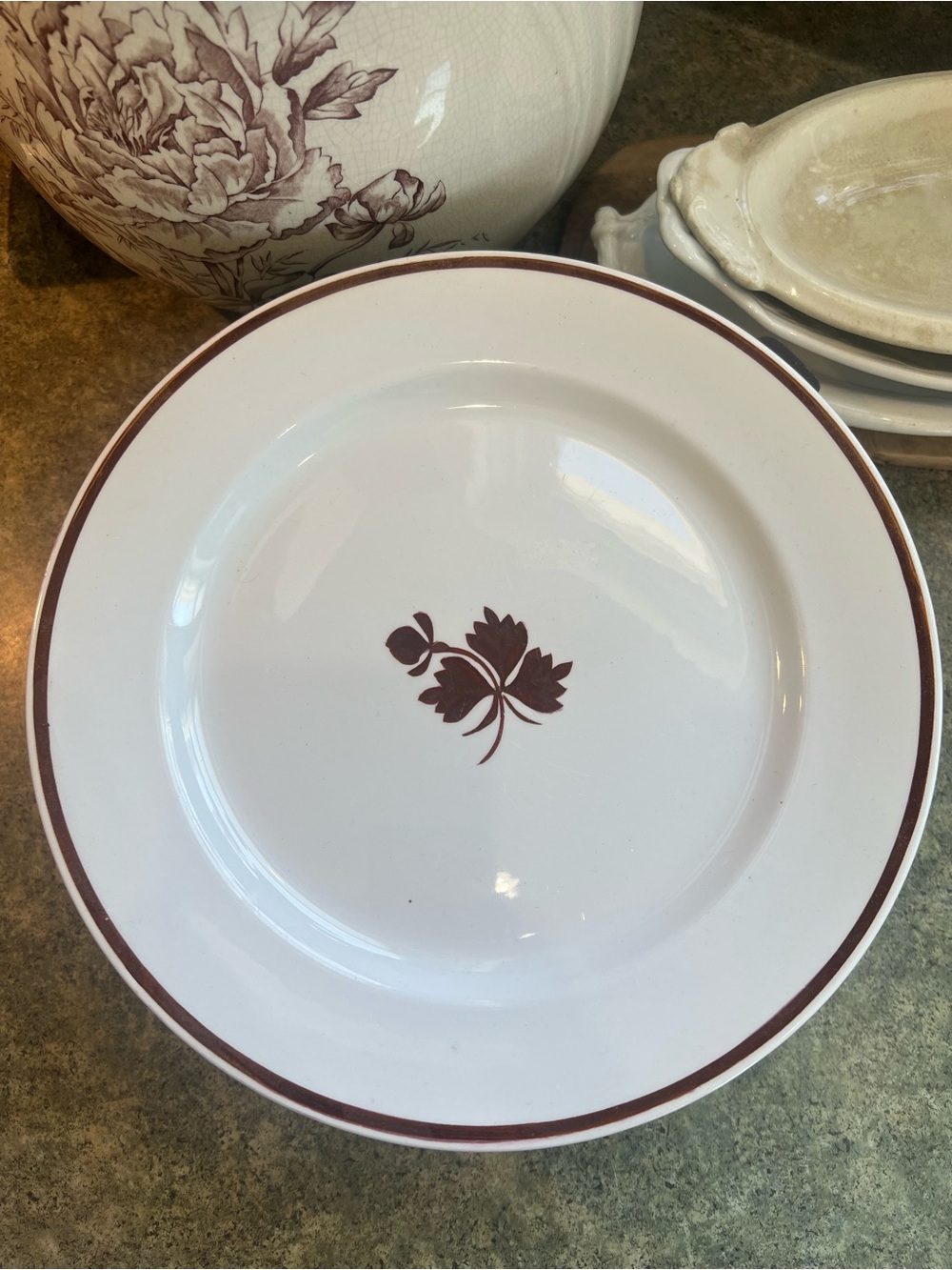 W.H. Grindley & Co. Antique Ironstone Tea Leaf 10” Dinner Plate